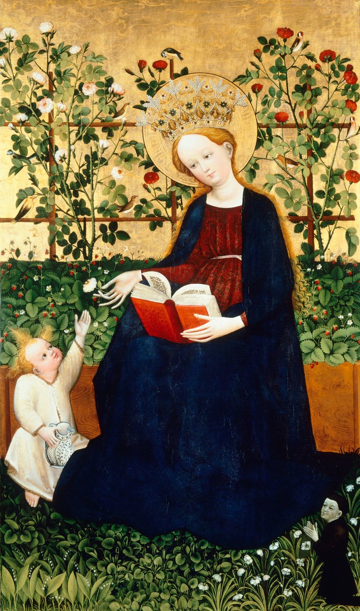 Jahody Virgin od Hans Tieffenthal