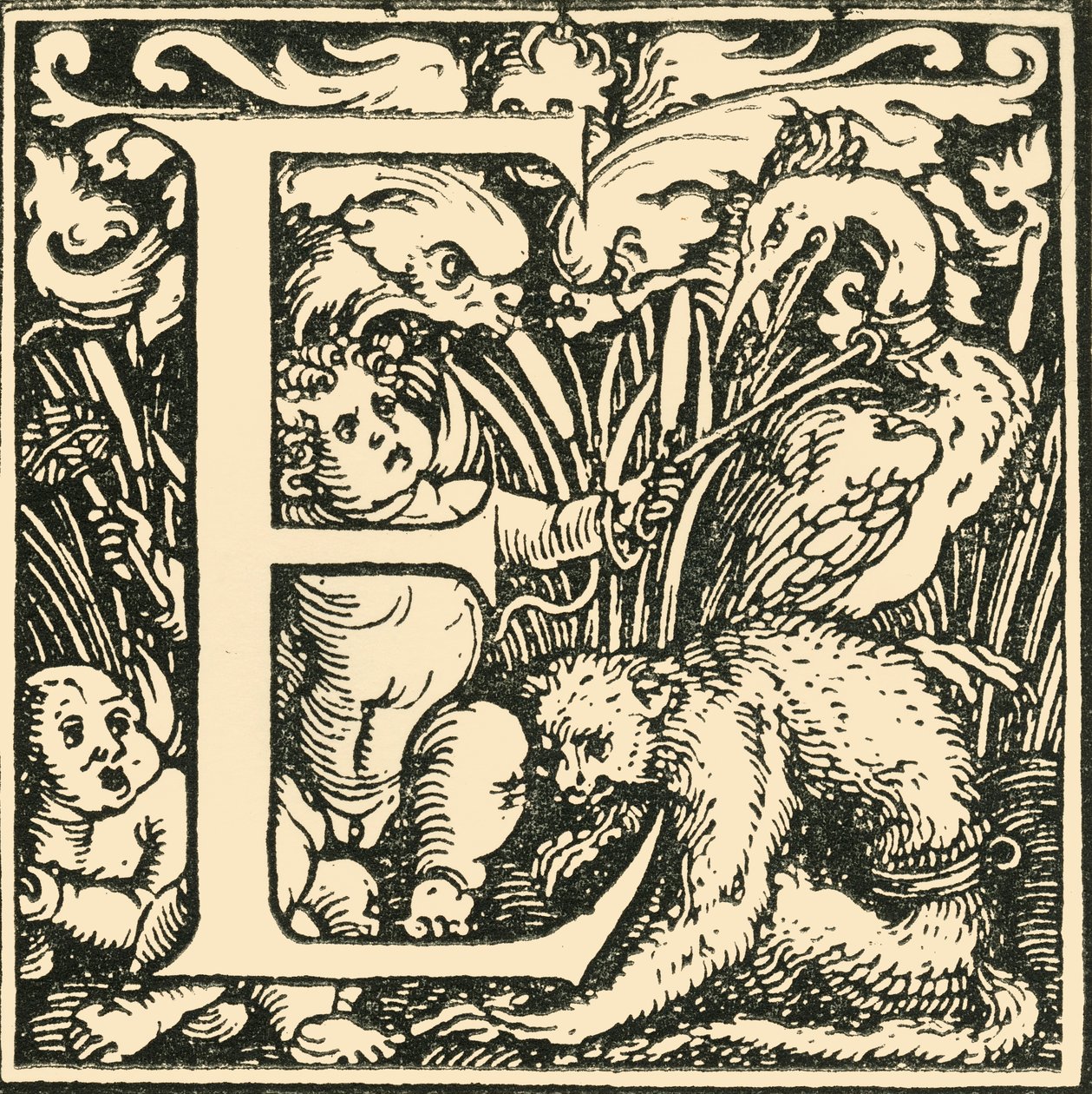 E - An Alphabet od Hanse Weiditze, c1520-1521, 1908. od Hans Weiditz