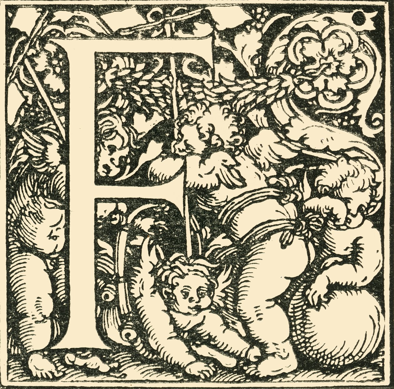 F - An Alphabet od Hanse Weiditze, c1520-1521, 1908. od Hans Weiditz