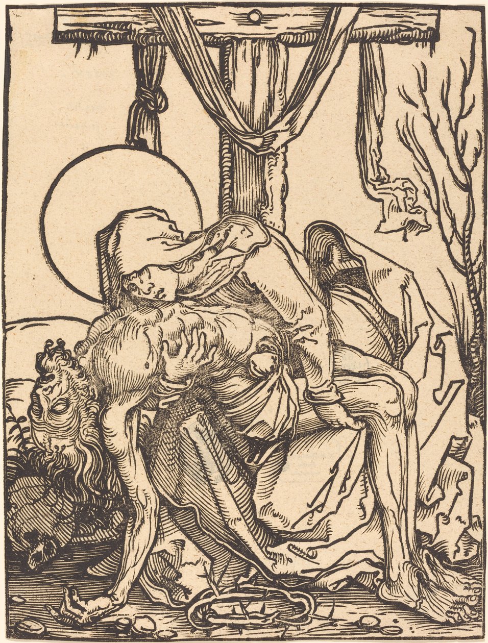 Soucit od Hans Weiditz, II