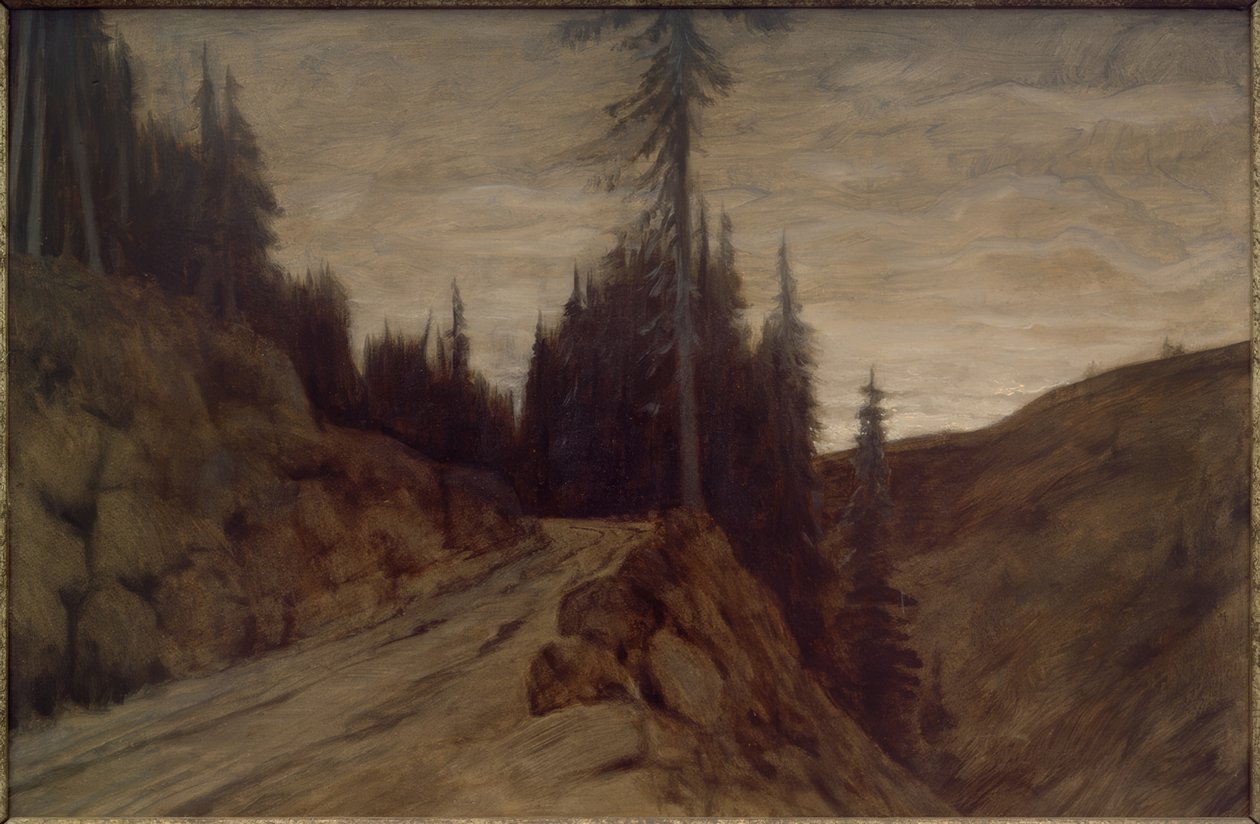 Smrky v soumraku od Hans am Ende