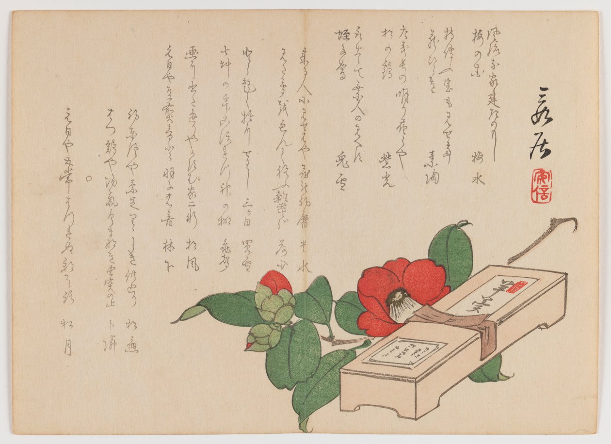 Camellia with Sweets Box (Yokan), cca 1860 (dřevěný tisk; horizontální formát Chuban yoko-e) od Hanzan Matsukawa