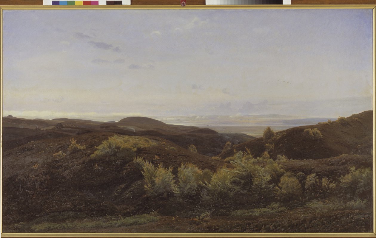 Heather Hills poblíž Rye, Jutsko od Harald Foss