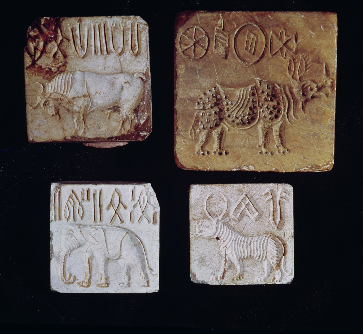 Čtyři pečeti zobrazující býka, nosorožce, slona a tygra s piktografickými symboly, z údolí Indu, Pákistán, 3000-1500 př.n.l. od Harappan