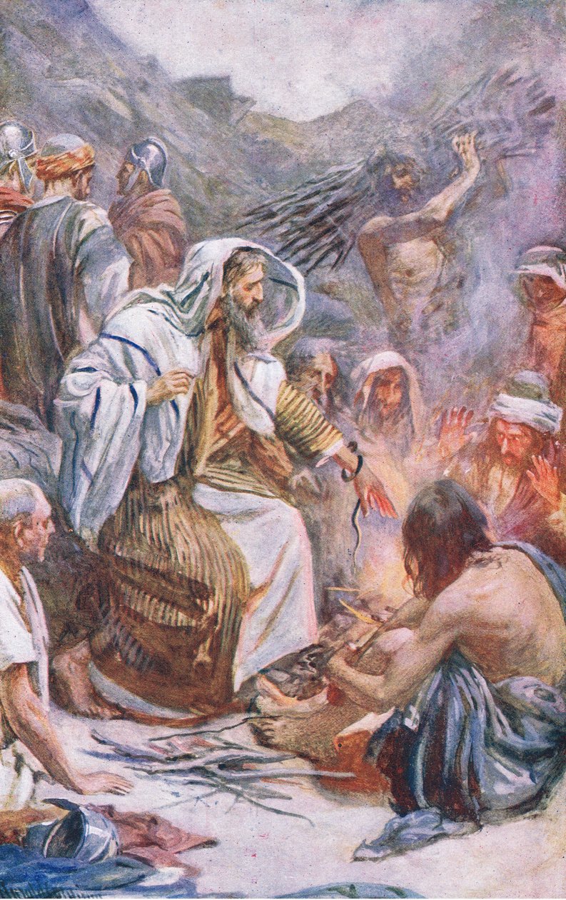 St Paul at Melita, ilustrace z Harold Copping Pictures: The Crown Series, c.1920 od Harold Copping
