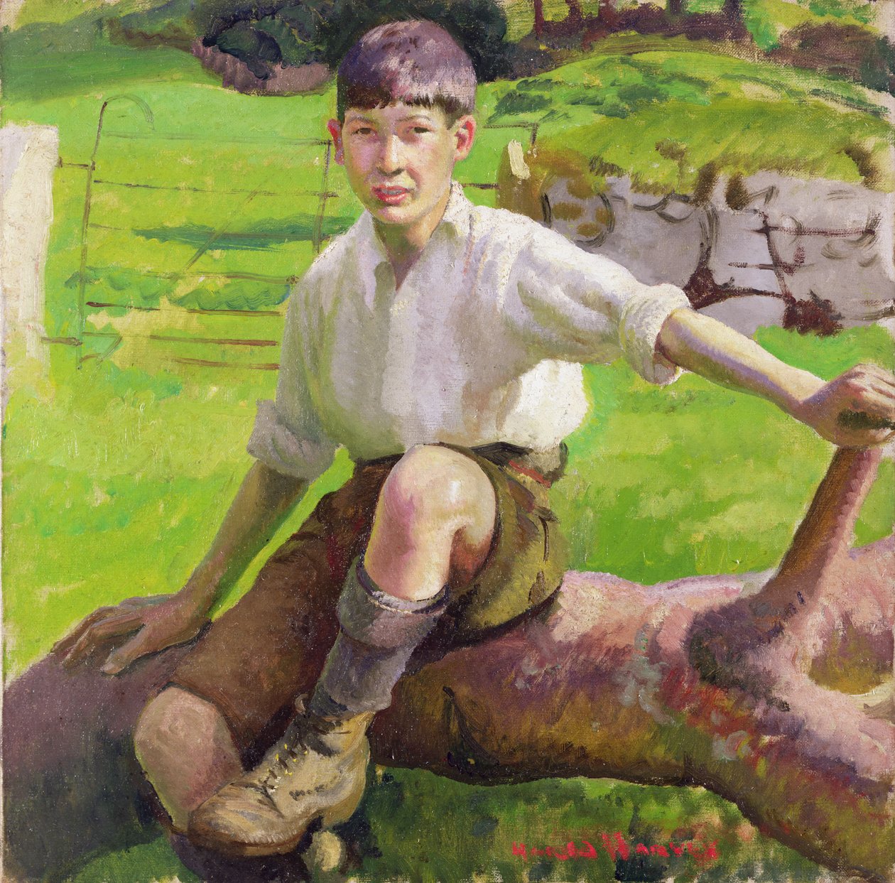 Cornish Boy (olej na plátně) od Harold Harvey