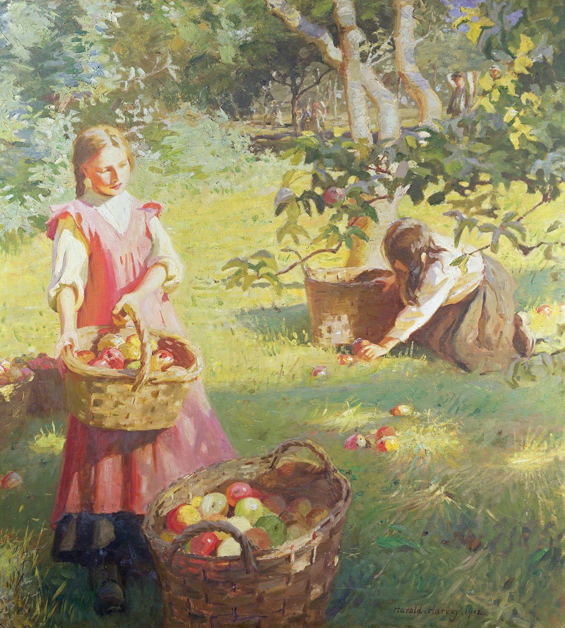 jablka od Harold Harvey