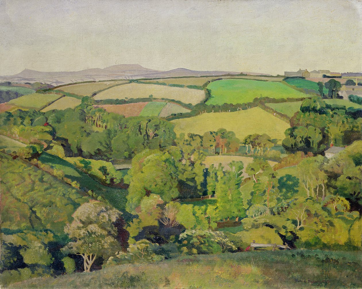 Drift Valley (olej na plátně) od Harold Harvey