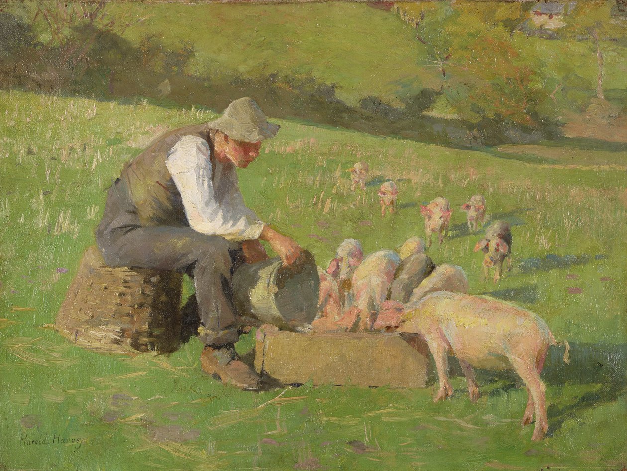 Doba krmení (olej na plátně) od Harold Harvey