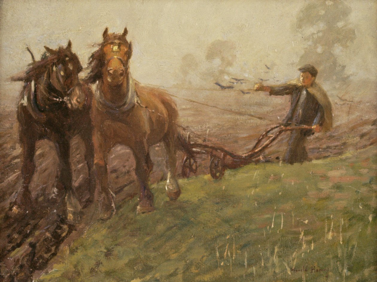 Muž orat pole od Harold Harvey
