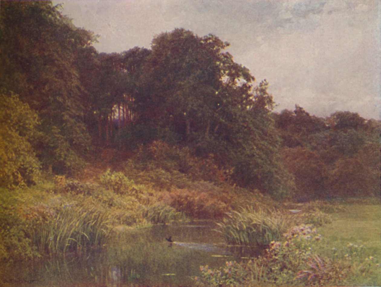 A Brook, 1910 od Harold Sutton Palmer
