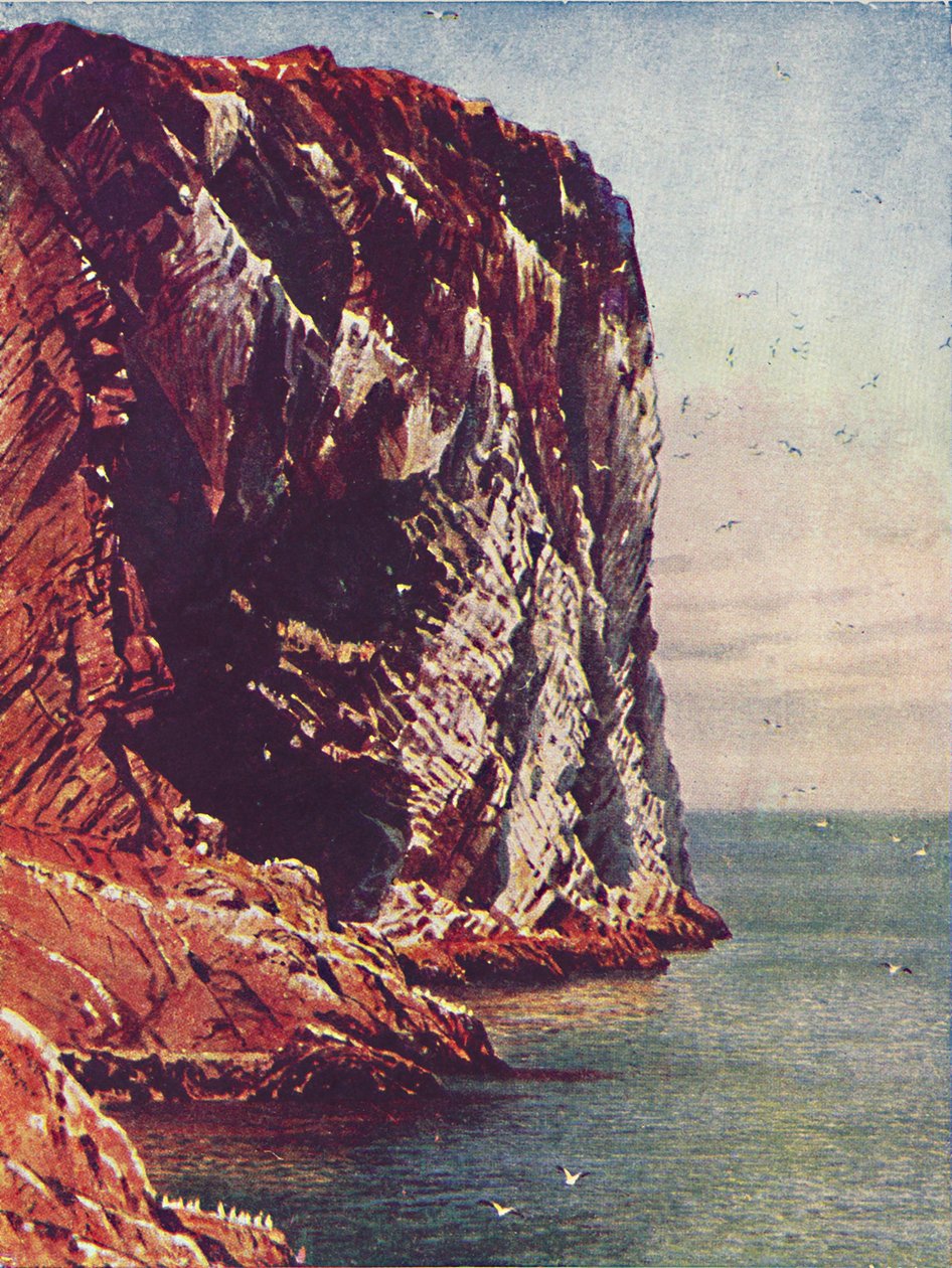Bass Rock, 1910 od Harold Sutton Palmer