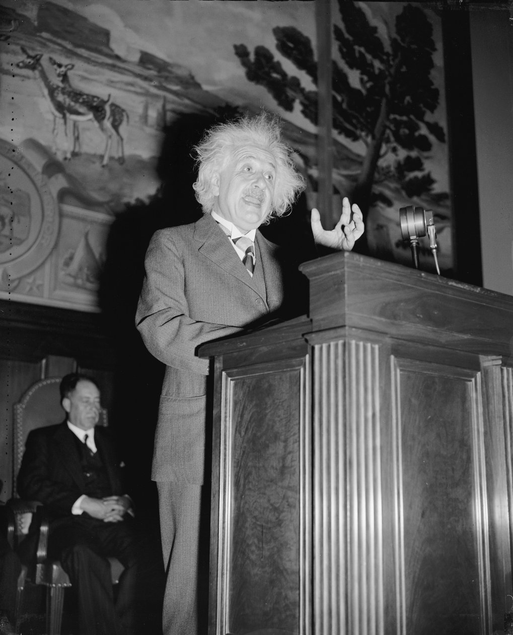 Albert Einstein mluvící, kolem roku 1940 (černobílá fotografie) od Harris & Ewing