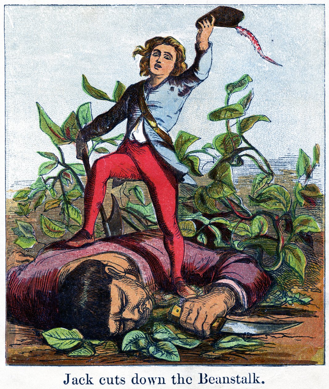 Jack kácí stonek fazole, 1867 (chromolitho) od Harrison William Weir