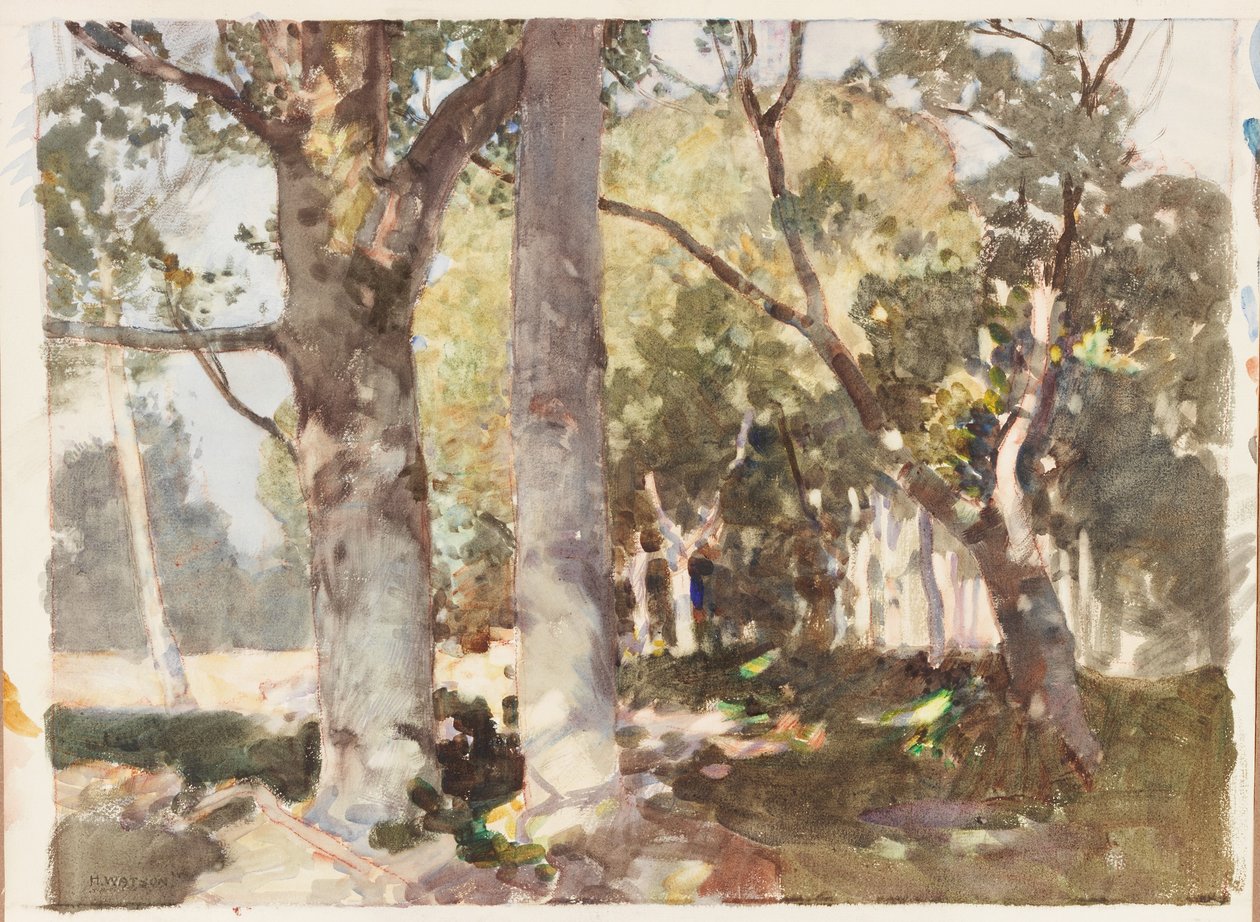 Shaft of Light (pastel a akvarel na papíře (nalepené na desce)) od Harry Watson