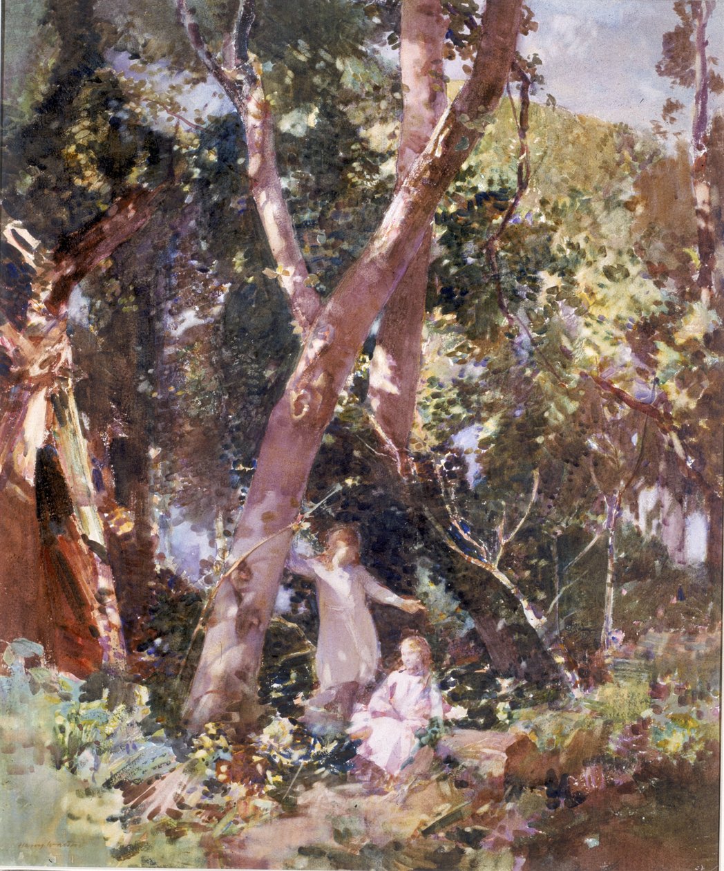 Copse, Dunston Sussex (akvarel a tělová barva na kartě) od Harry Watson