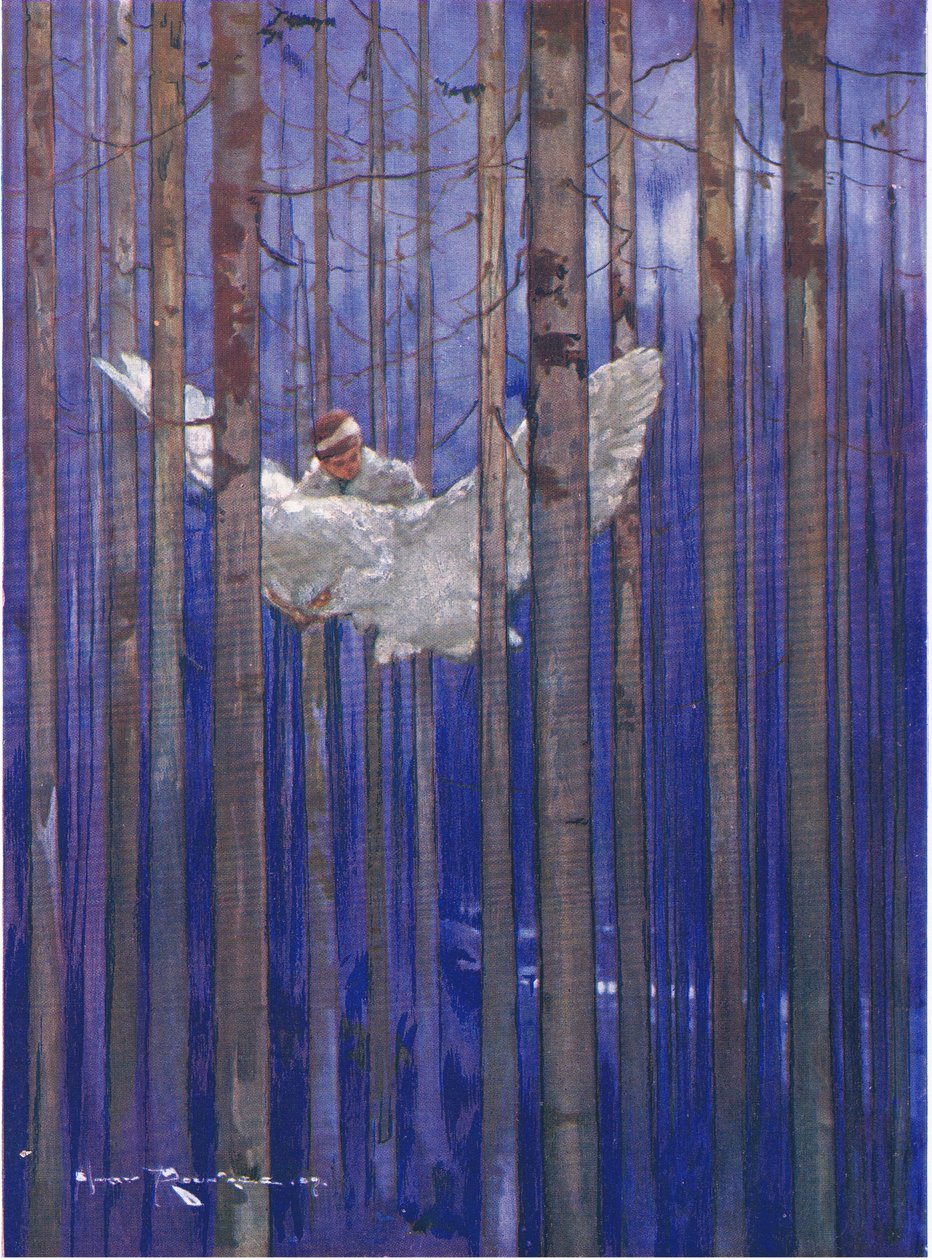 Sova a Gilbert měli nádherné jízdy v měsíčním světle (z The Forest Foundling) (barva litho) od Harry Rountree