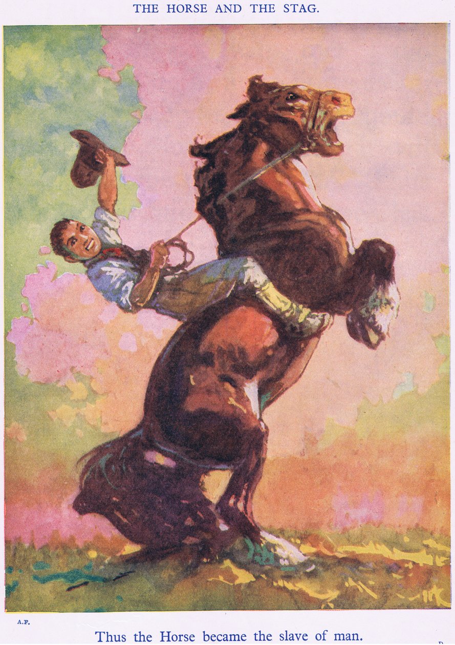 Tak se kůň stal otrokem člověka (z koně a jelena) od Harry (1878 1950) Rountree
