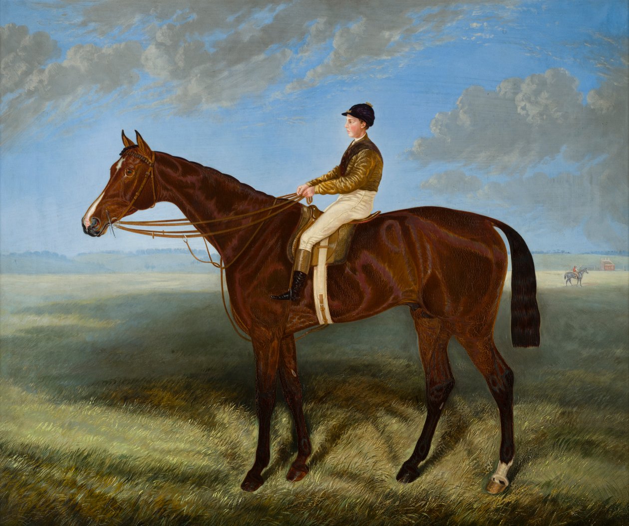 Salpinctes-a závodní kůň, kolem 1814-82 (olej na plátně) od Harry (after) Hall