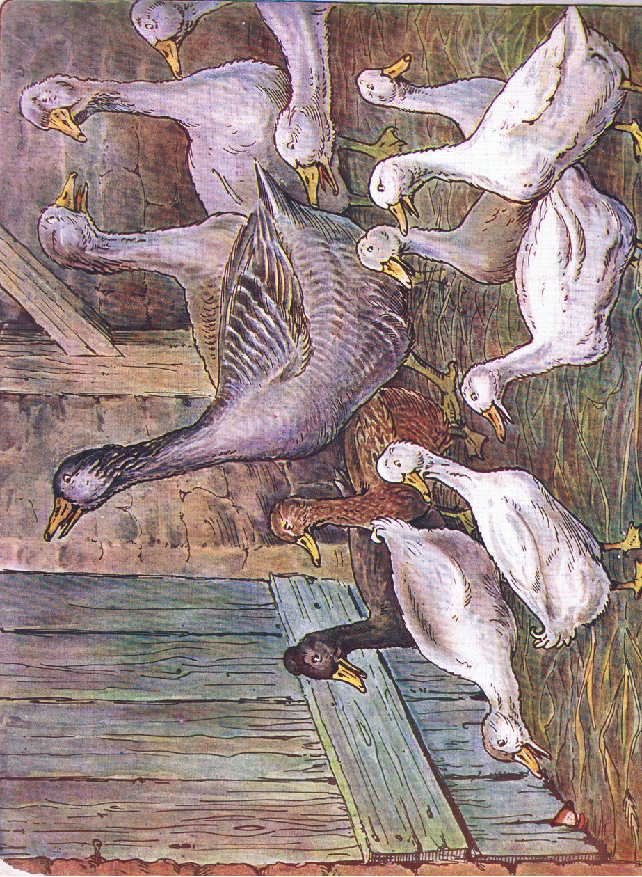 Proč prohlašuji, 1920 od Harry B Neilson