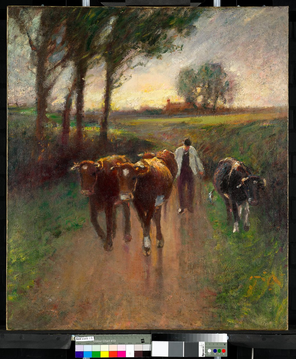 Vyhánění krav na pastvu od Harry Fidler