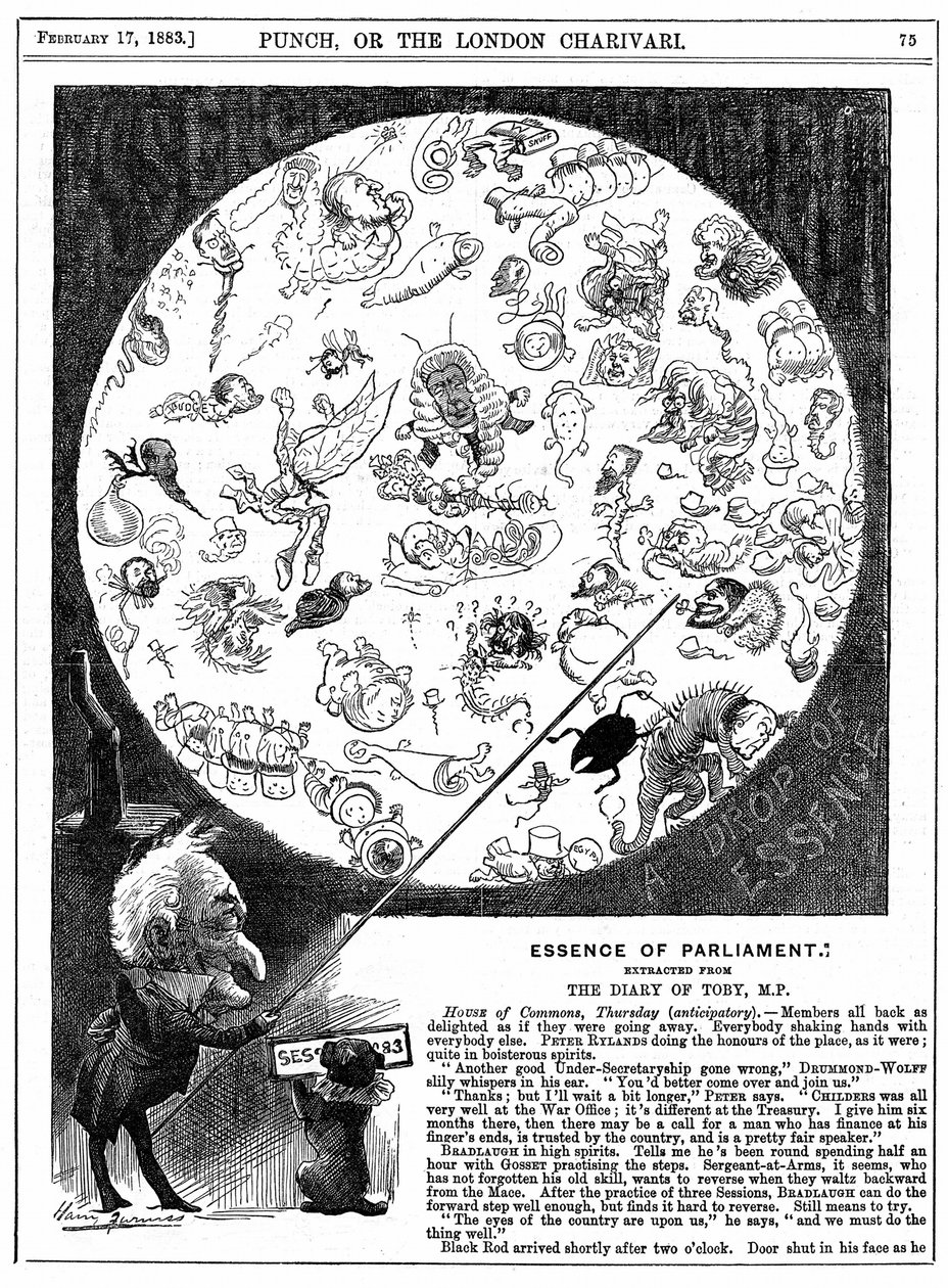 Essence of Parliament: Cartoon označující zahájení prvního zasedání parlamentu v roce 1883 (dřevoryt) od Harry Furniss