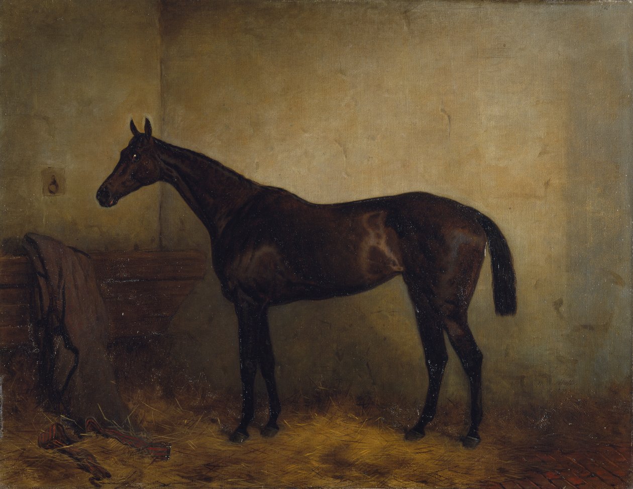 Chaplet, klisna hnědáka ve volném boxu, kolem 1877 (olej na plátně) od Harry Hall