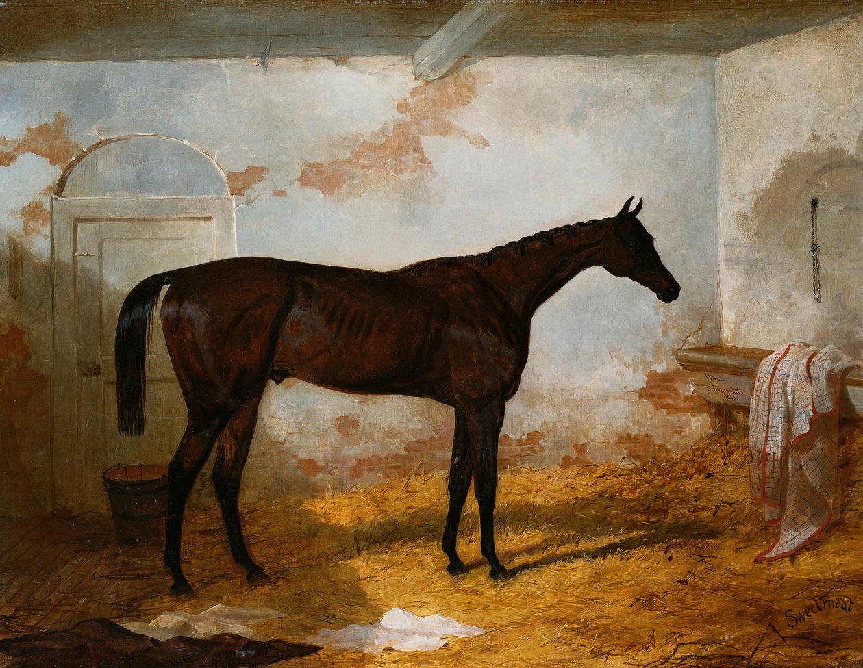 Pan A.W. Hill