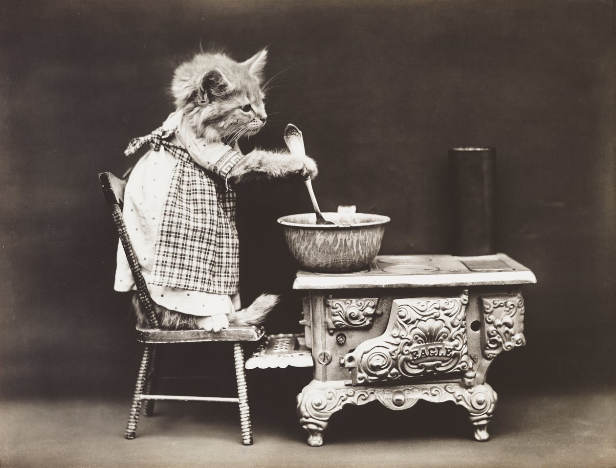 Série Kitties: 1914 (stříbrný tisk) od Harry Whittier Frees