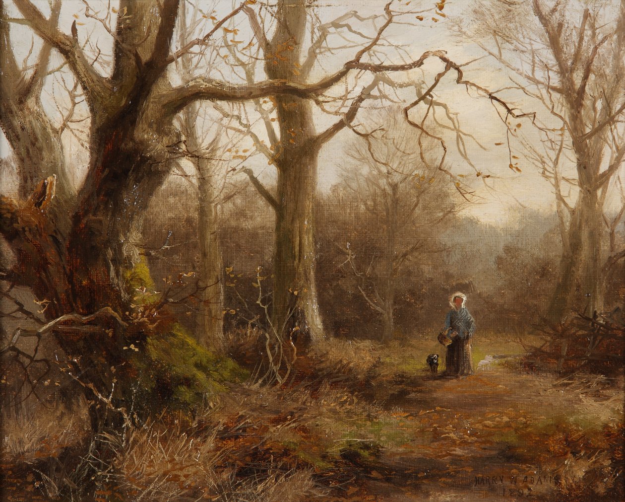 Woodland Scene, 1892 od Harry William Adams