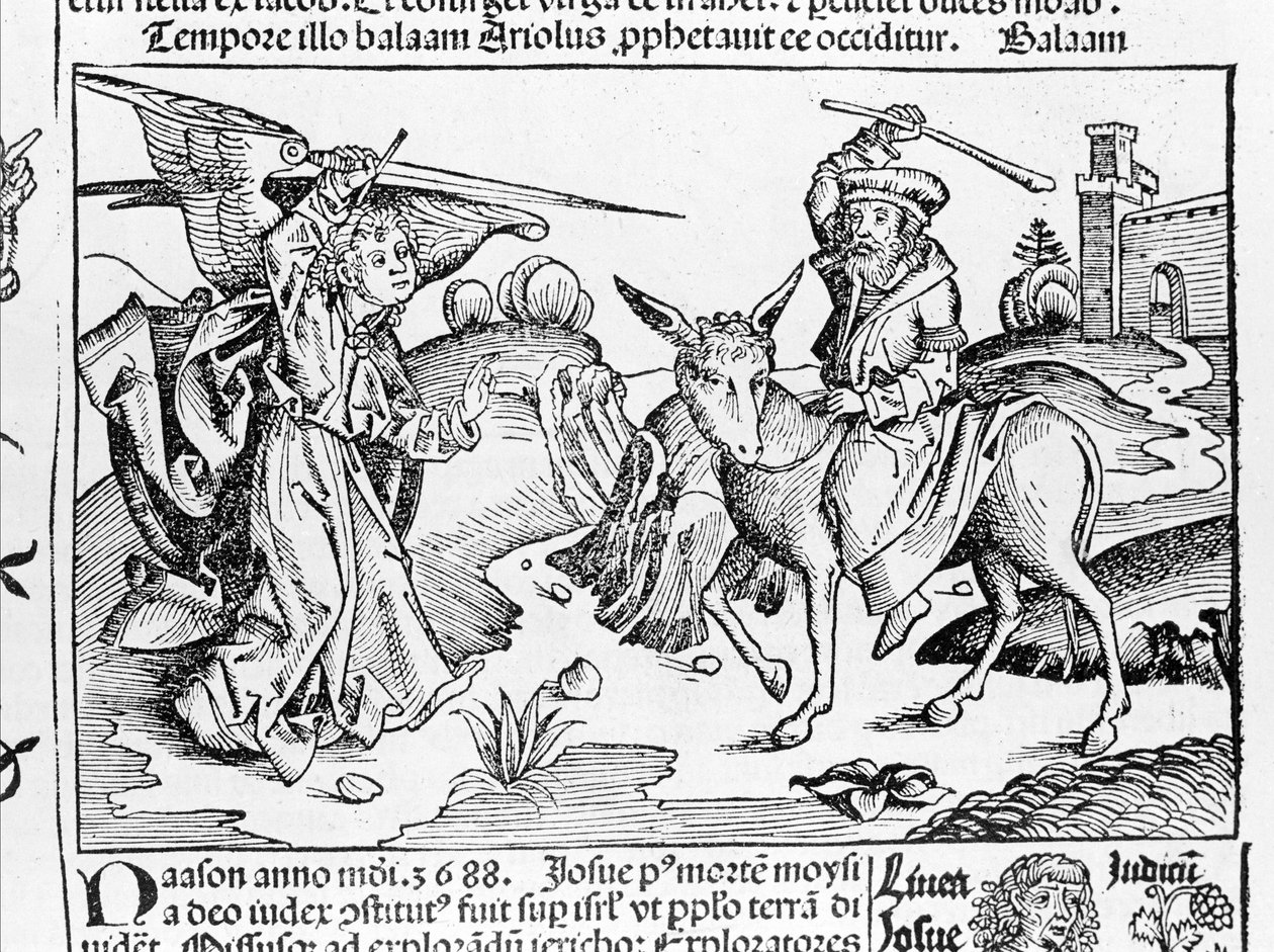 Balámův osel z Norimberské kroniky Hartmanna Schedela od Hartmann Schedel