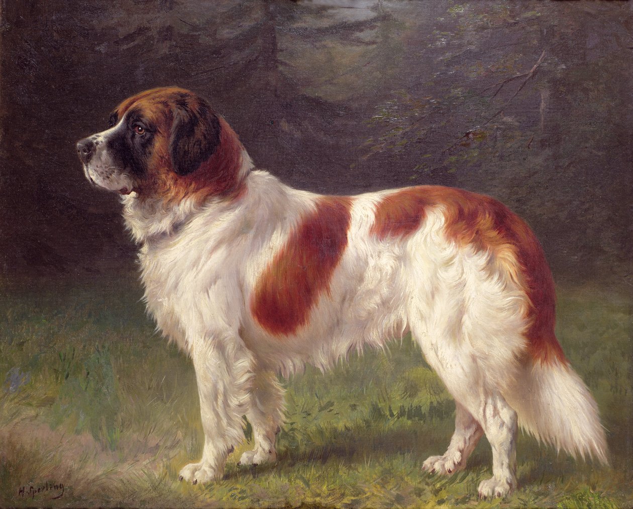 Bernardýn od Heinrich Sperling