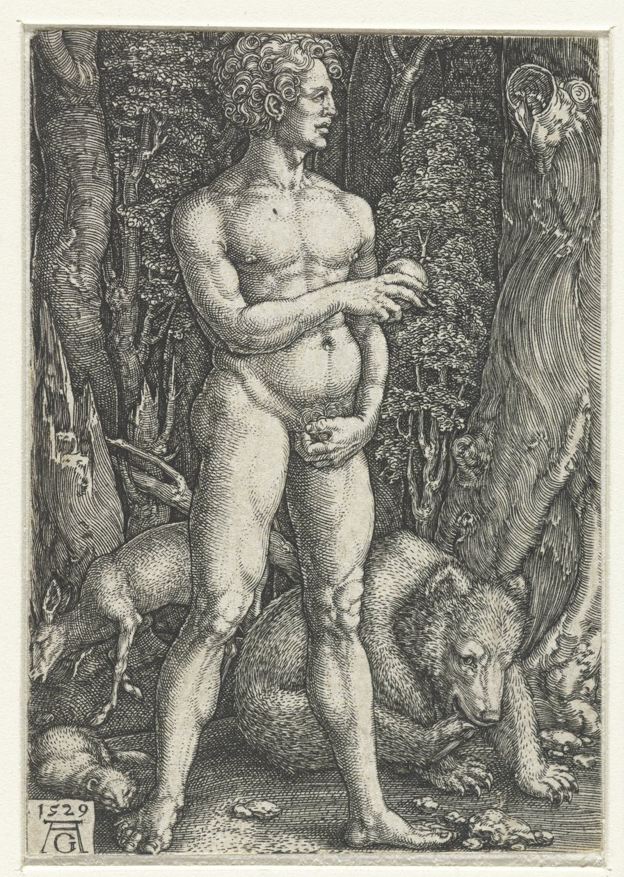 Adame od Heinrich Aldegrever