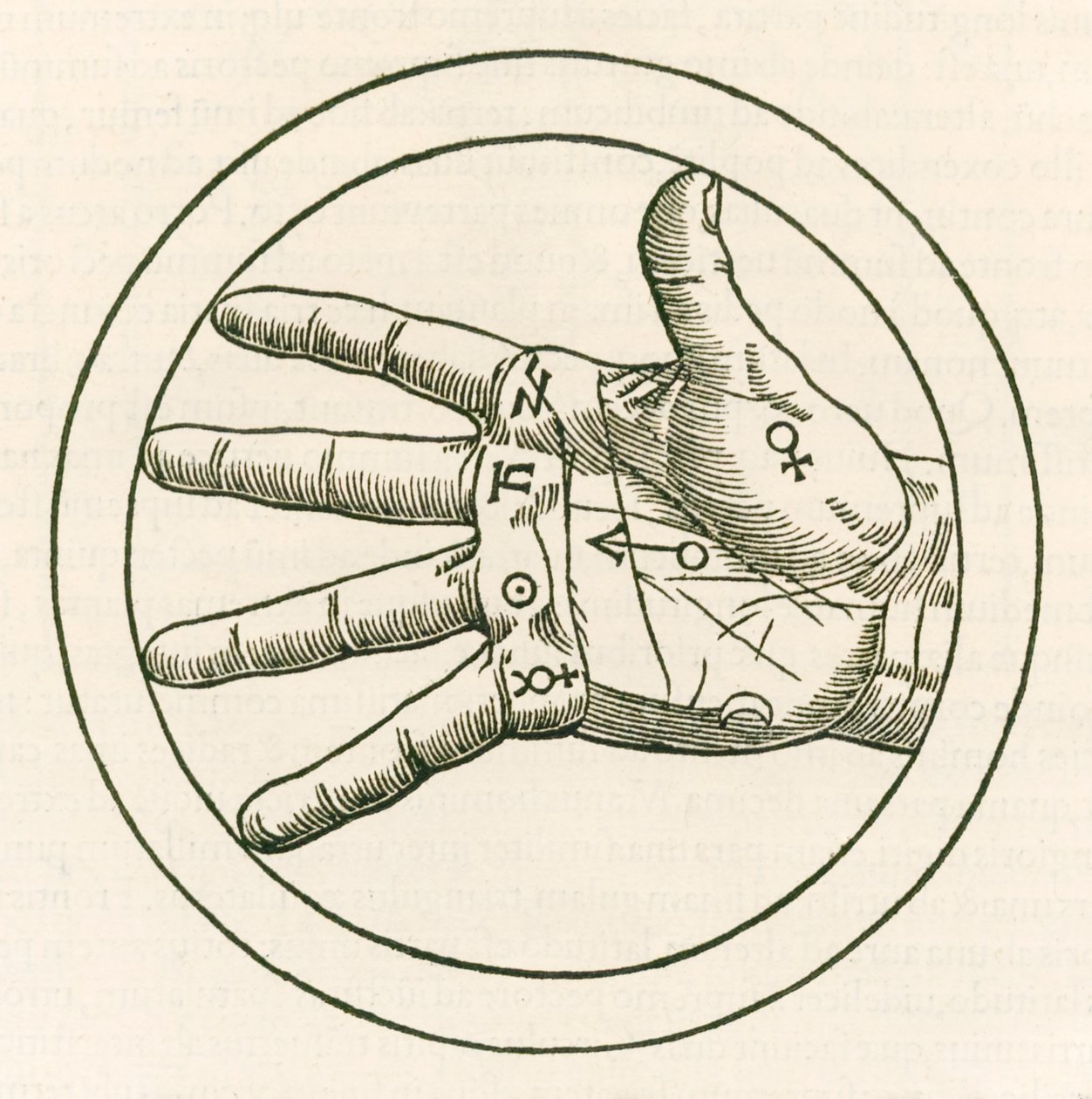 Rytina Hand of Palmistry od Heinricha Cornelia Agrippy von Nettesheim (1486-1535) De occulta philosophia libri tres (Tři knihy okultní filozofie) vydané v roce 1533. od Heinrich Cornelius Agrippa von Nettesheim