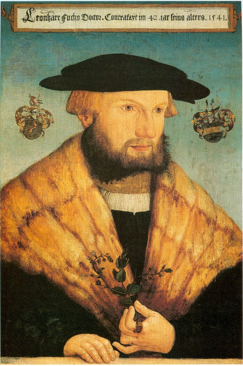 Portrét Leonharta Fuchse (1501-1566) od Heinrich Füllmaurer