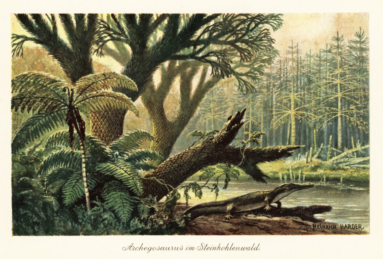 Archegosaurus decheni u řeky v prvotní džungli. od Heinrich Harder