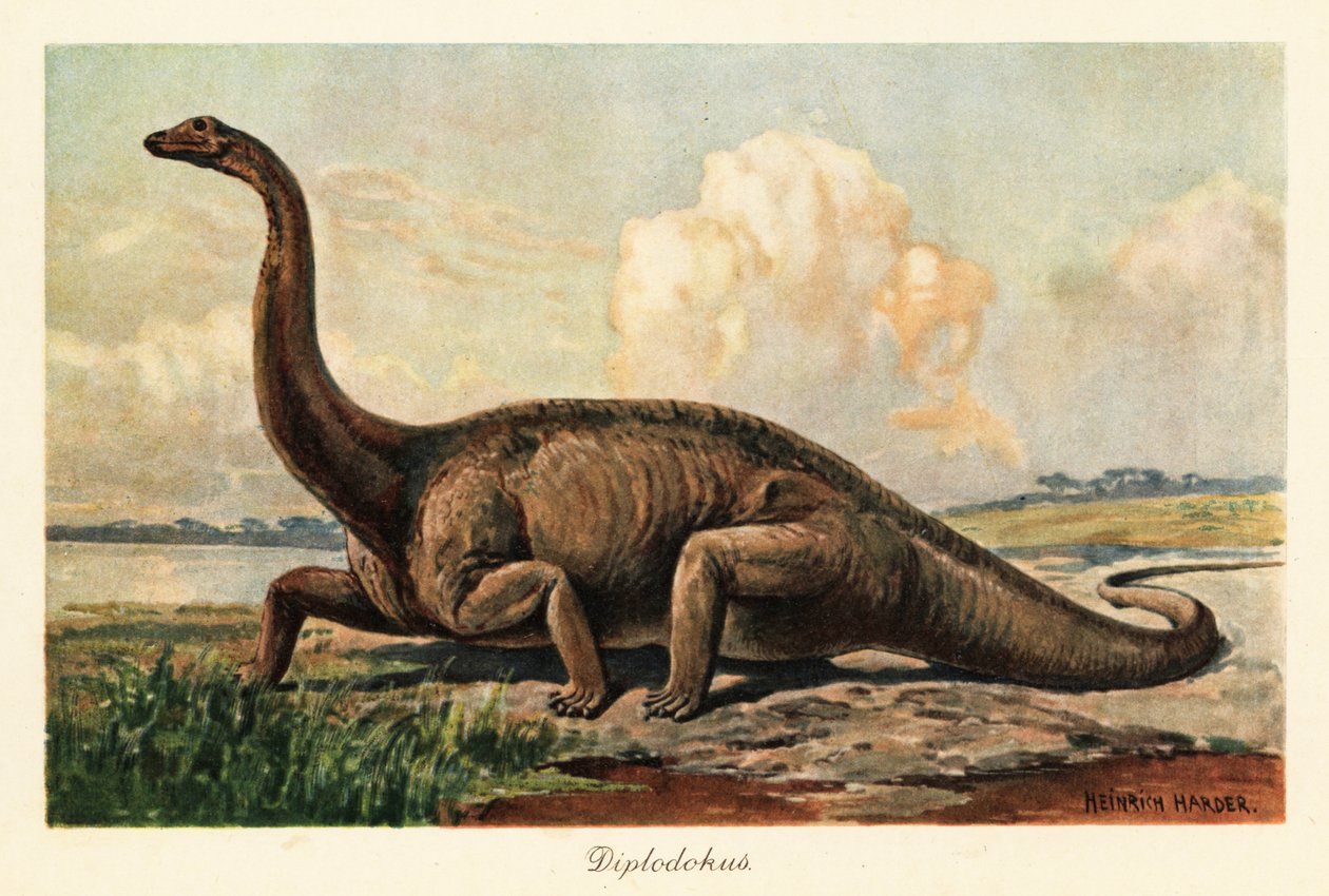Vyhynulý Diplodocus longus na pláních. od Heinrich Harder