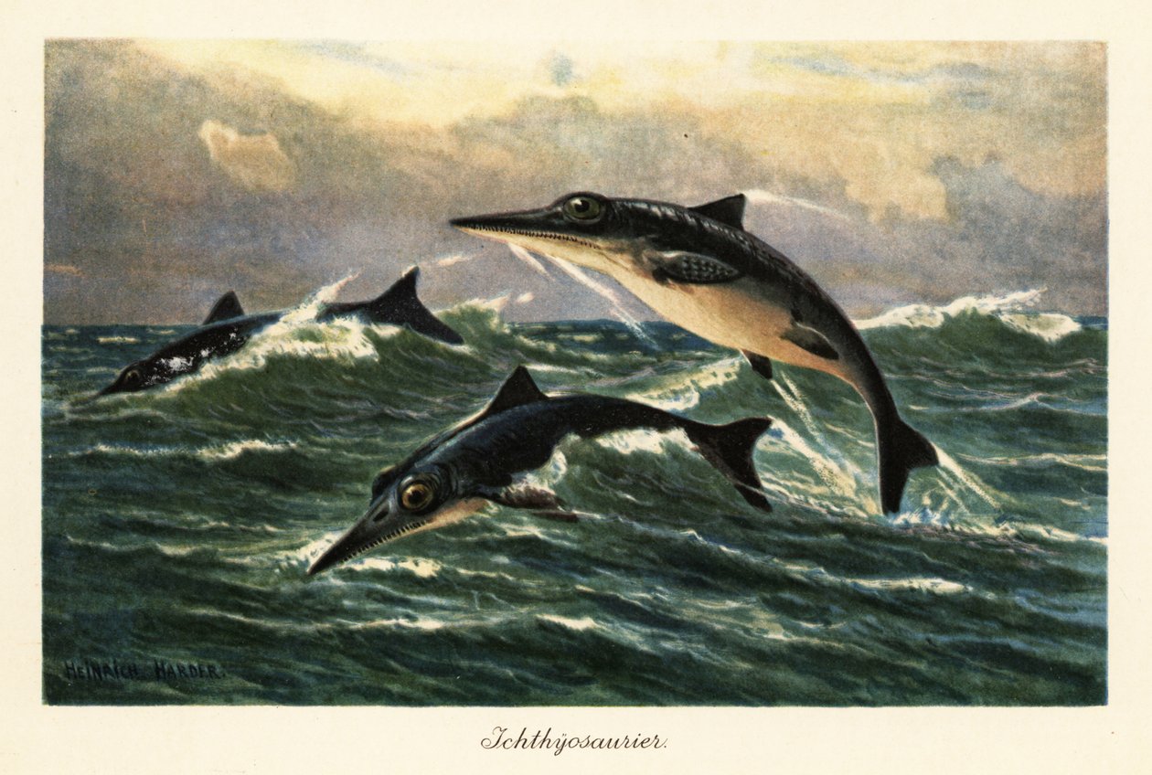 Vyhynulí ichtyosauři skákající nad oceánem. od Heinrich Harder