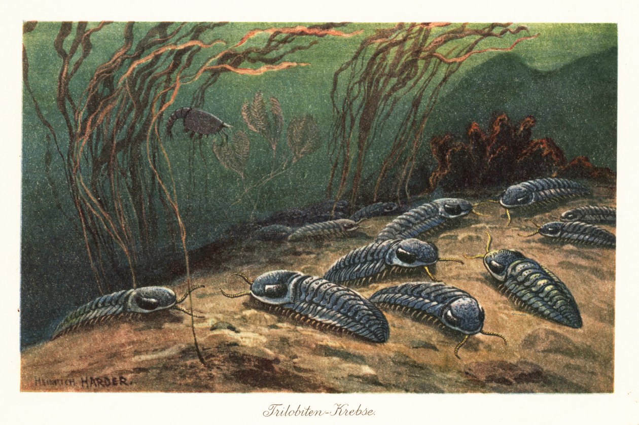 Vyhynulí trilobiti na dně oceánu. od Heinrich Harder
