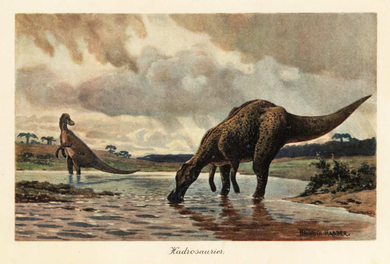 Hadrosauři nebo kachnozobí dinosauři krmení v řece. od Heinrich Harder