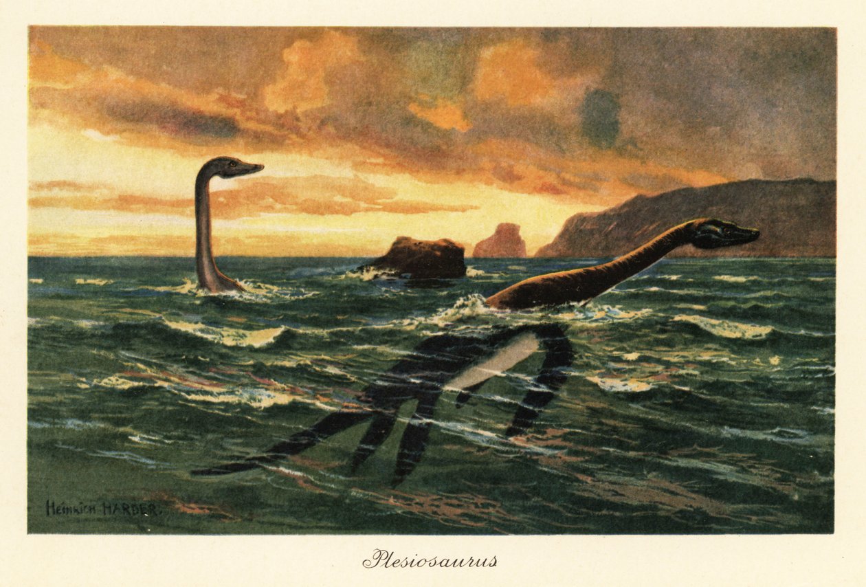 Plesiosaurus dolichodeirus v oceánu. od Heinrich Harder