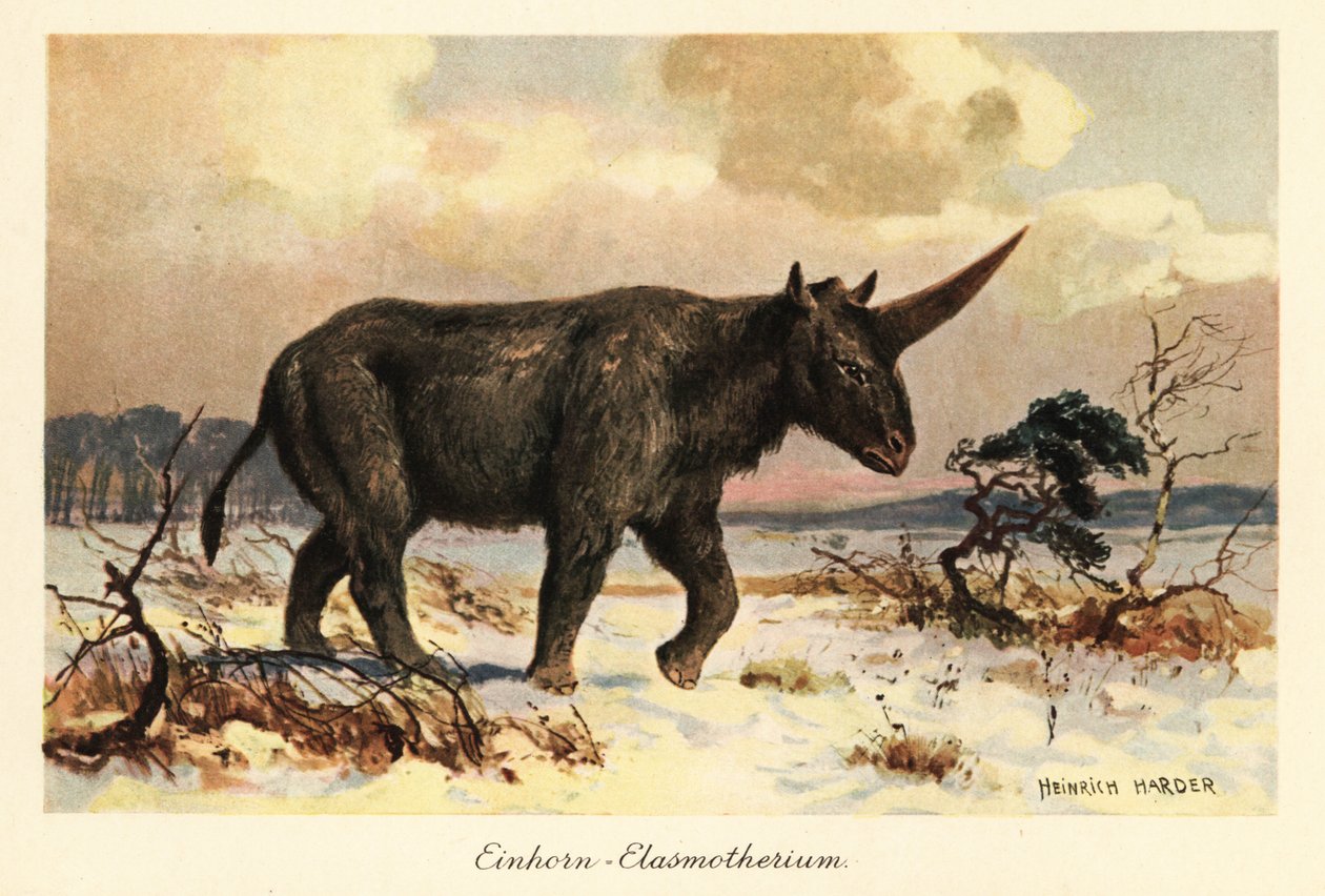 Sibiřský jednorožec, Elasmotherium sibiricum, na zasněžené pláni. od Heinrich Harder