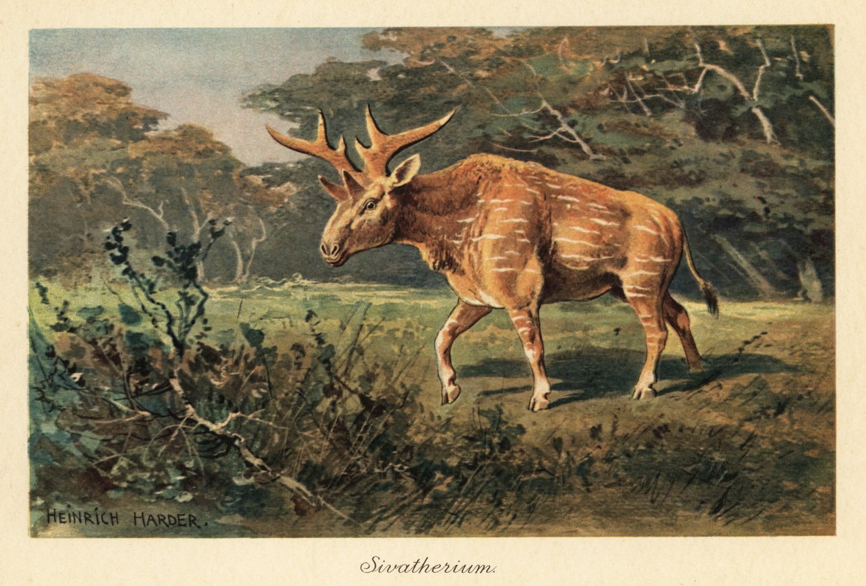 Sivatherium giganteum na mýtině džungle. od Heinrich Harder