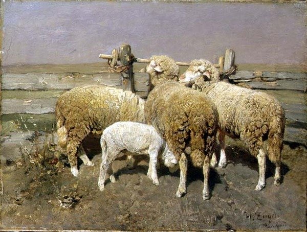 Ovce v kotci od Heinrich Johann von Zugel