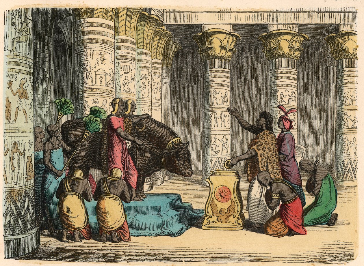 Starověký Egypt: Uctívání Apis Bull od Heinrich Leutemann
