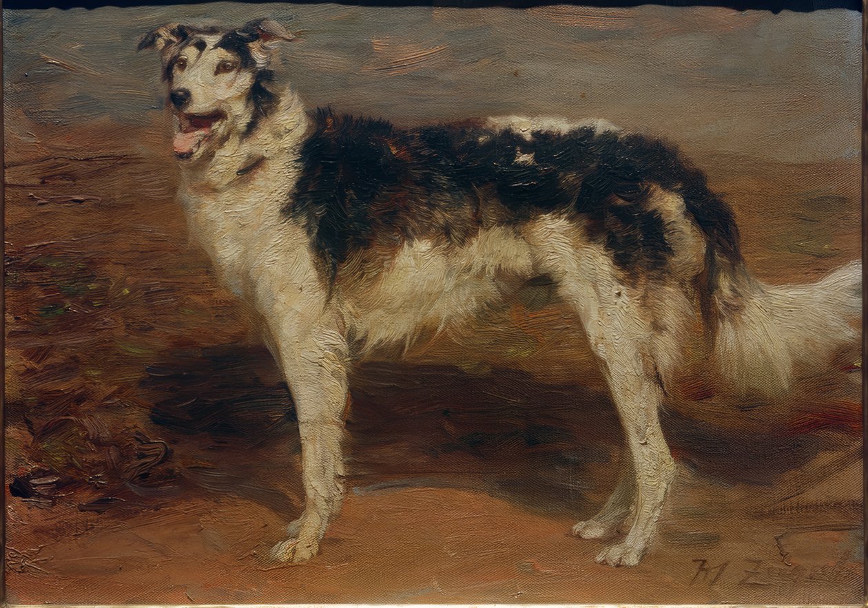 Greyhound od Heinrich von Zügel