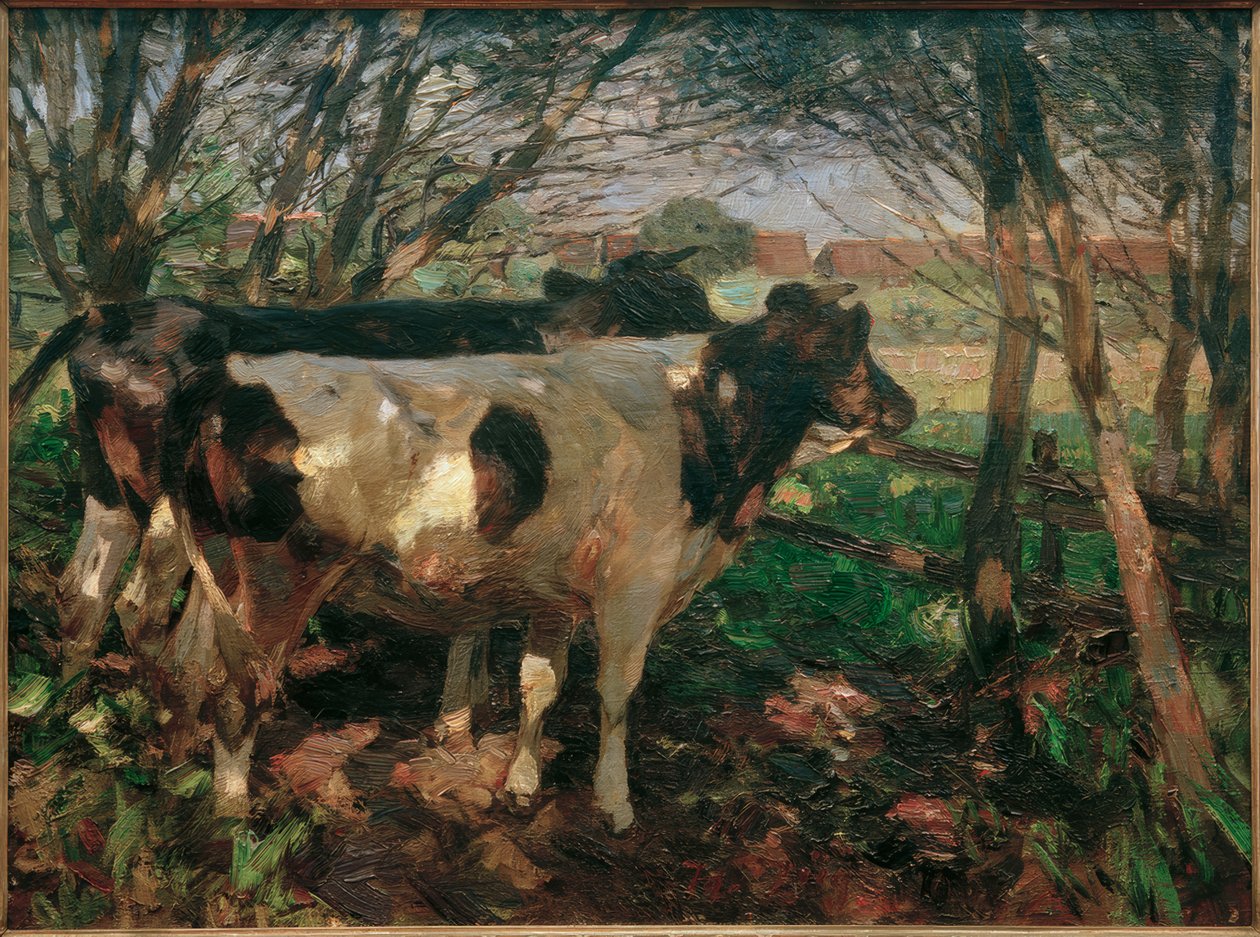 Dvě krávy na plotě od Heinrich von Zügel