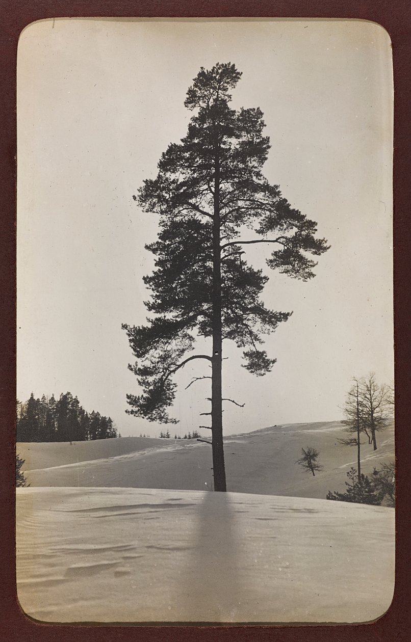 První světová válka: „Ukrajina v letech 1914-1916 během invaze německé armády. Krajina se sněhem (černobílá fotografie) od Heldenfriedhof Dsessentniki (attr. to)