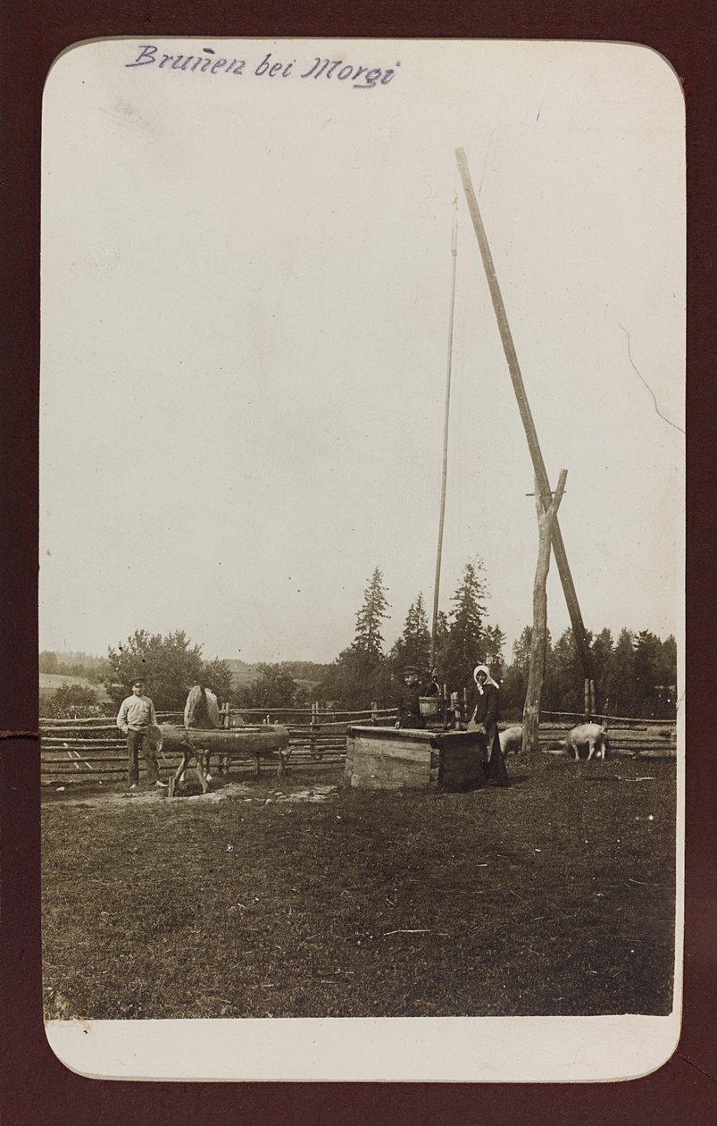 První světová válka: „Ukrajina v letech 1914-1916 během invaze německé armády. Studna (černobílá fotografie) od Heldenfriedhof Dsessentniki (attr. to)