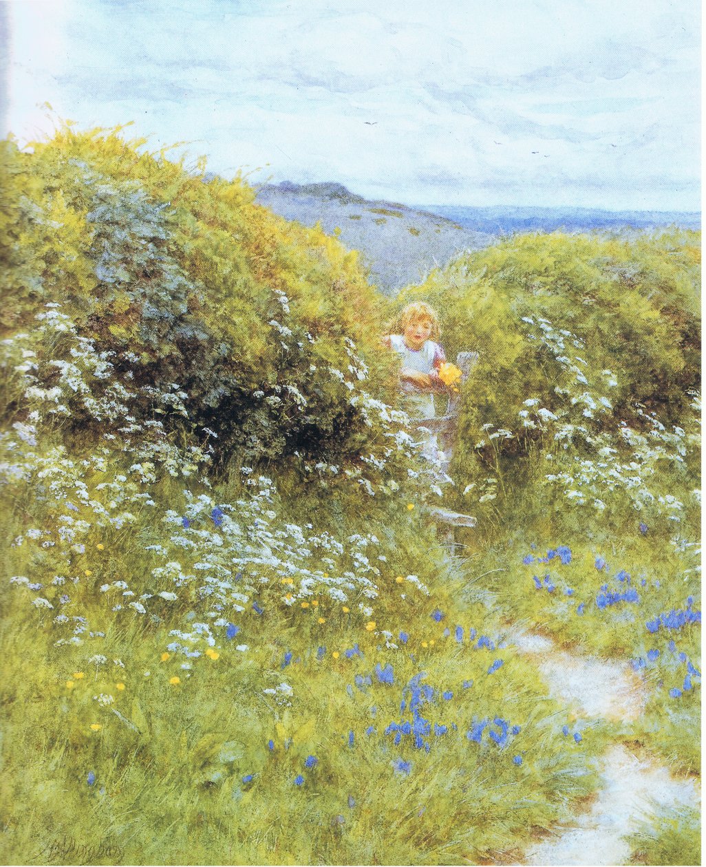 Kravská petržel a zvonky od Helen Allingham
